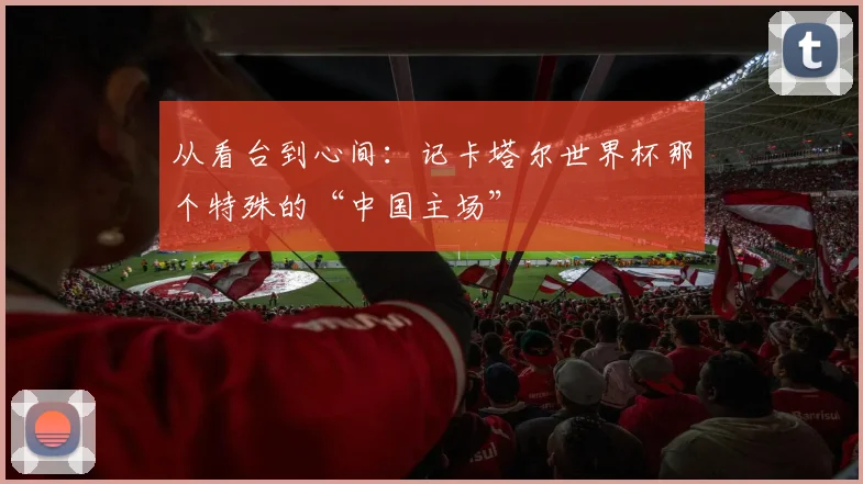 从看台到心间：记卡塔尔世界杯那个特殊的“中国主场”