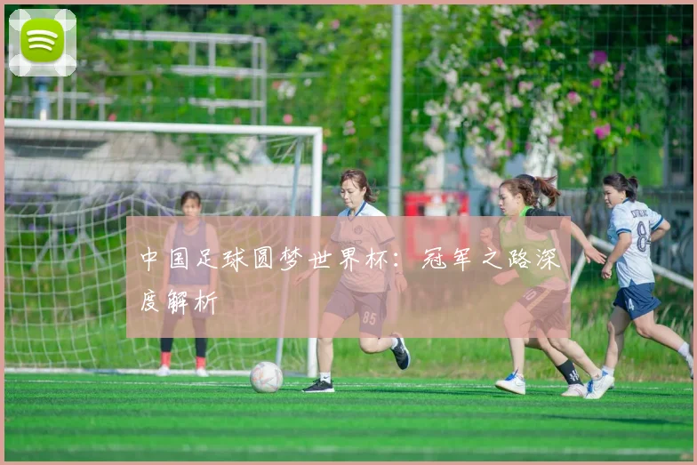 中国足球圆梦世界杯:冠军之路深度解析
