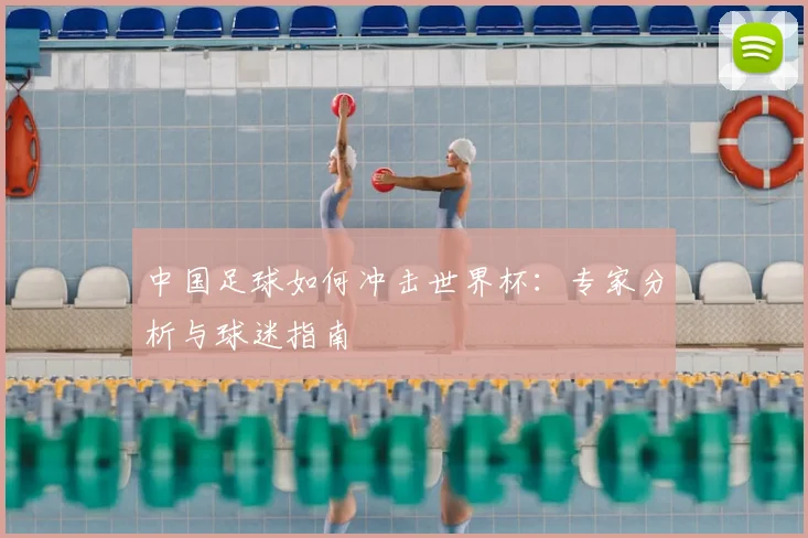 中国足球如何冲击世界杯:专家分析与球迷指南