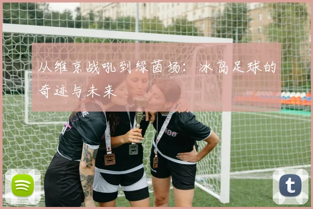 从维京战吼到绿茵场:冰岛足球的奇迹与未来