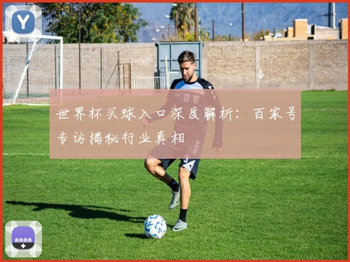 世界杯买球入口深度解析:百家号专访揭秘行业真相