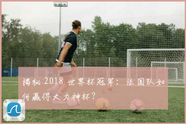 揭秘 2018 世界杯冠军：法国队如何赢得大力神杯？
