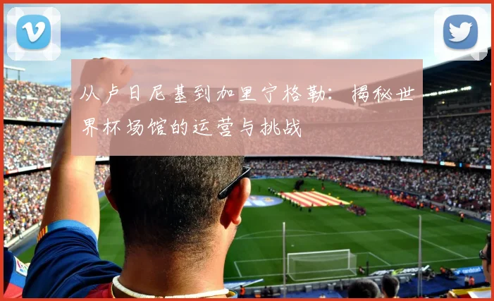从卢日尼基到加里宁格勒：揭秘世界杯场馆的运营与挑战