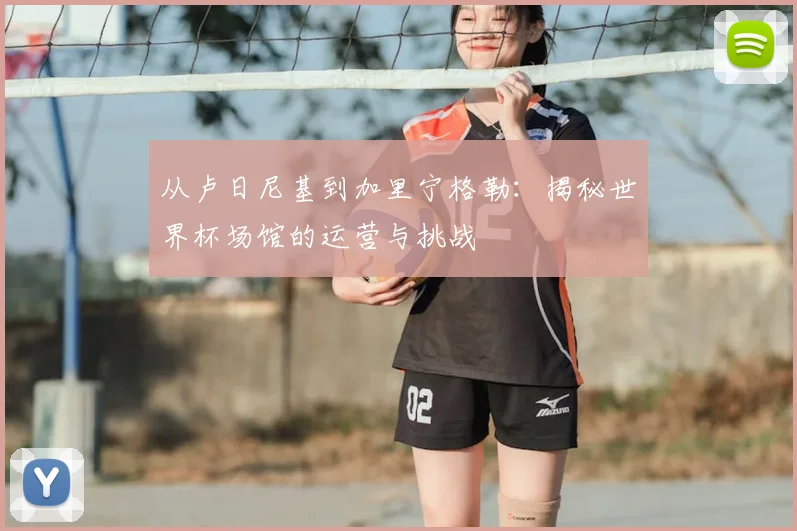 从卢日尼基到加里宁格勒:揭秘世界杯场馆的运营与挑战
